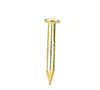 EIMSOAH Brass Round Head Nail Hardware Accessory for Furniture Hinges, 100pcs 10mm/15mm/18mm/22mm for Home Improvement (10mm Long)