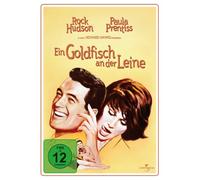 Ein Goldfisch an der Leine