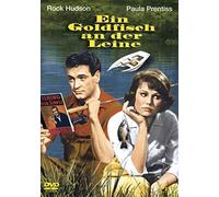 Ein Goldfisch an der Leine