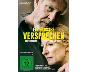 Ein großes Versprechen (DVD) Dagmar Manzel Rolf Lassgard Wendla Nölle