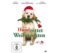 Ein Hund rettet Weihnachten