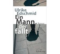 Ein Mann, der fällt: Roman