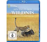 Ein Tag in der Wildnis - 24 Stunden auf 4 Kontinenten