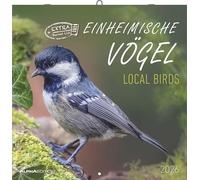 Einheimische Vögel 2026 - Broschürenkalender 30x30 cm (30x60 geöffnet) - Kalender mit Platz für Notizen - Birds - Bildkalender - Wandkalender - Vogelkalender: Local Birds