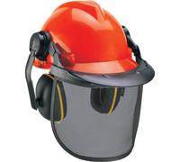 Einhell Chainsaw Helmet and Mesh Face Visor