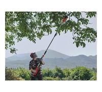 Einhell GC-LC 18/20 Li T-Solo Power X-Change Pole Pruner 18V Bare Unit EINGCLC1