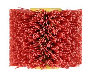 Einhell Original 120 x 100 mm Nylon Brush | Brush Sander Accessory for Einhell Cordless Brush Sander TP-BR 18/32 Li BL, for Cleaning and Sanding, 120 mm Diameter