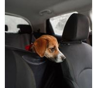 EINPARTS EPACC041 Pet car protector
