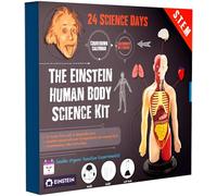Einstein Human Body Science Advent Calendar 2026 : unique and original 24 S.T.E.M science experiments & activities all about the human body. Includes 12’ Human Model with 16 detachable organs