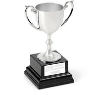 EIO Gifts Personalised Silver Cast Recognition Cup Trophy/Award, with Custom Engraving Ideal for Ceremonies or Competitions. - 7 Sizes To Choose From (6 3/4” (171mm))