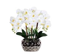 EIOLWJIEO Large Artificial Orchid Bonsai with Vase Phalaenopsis Real Touch Faux Plants Orchids Arrangements for Living Room Decoration, Light Yellow White