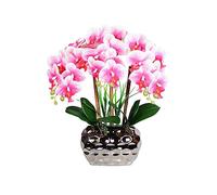 EIOLWJIEO Large Artificial Orchid Bonsai with Vase Phalaenopsis Real Touch Faux Plants Orchids Arrangements for Living Room Decoration, Purple White