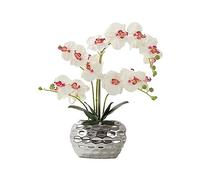 EIOLWJIEO Realistic Appearance Faux Orchid In Pot Long-lasting Durability And Wide Application Elegant Artificial Orchid In Pot, White Red