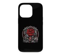 Eir's Healing Hall Norse Viking Healer mystery Case for iPhone 13 Pro