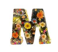 EIRZNGXQ Resin Letter With Flowers and Lights - Floral Initial Night Light Lamp for Gift (M 1pcs)
