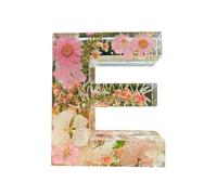 EIRZNGXQ Resin Letters With Flowers And Lights, Resin Flower Letter Lamp, Resin Letter Flower Initial Night Light, Floral Resin Night Light Letter For Gift (E 1pcs)