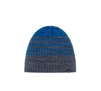 Eisbär Campo Men's Merino Winter Hat with Fleece Protects Against Cold and Wind - Knitted Beanie Hat from Austria, Anthracite-D.COBALT-Bugatti, One Size