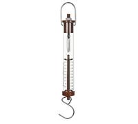 Eisco Labs Newton Force Dynamometer Spring Scale - 1N / 100gm Max Capacity | Dual Scale Labeled | Mounting Ring | Mass Hook on Bottom | 2N / 2gm Resolution | Measure Force Tool