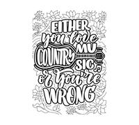 Either You Like Country Music or You're Wrong Wall Decals 36x50.8cm Art Mural Painting Black