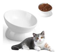 Eitonbu Orthopedic Anti-Vomiting Cat Feeder, Ceramics, Dog, Cat, Multiple Pets