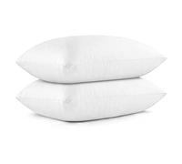 EIUE 20 x 30 Inches Bed Pillows 2 Pack Queen Size,Pillows for Side and Back Sleepers,Super Soft Down Alternative Microfiber Filled Pillows,White