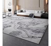 EIWAXU Modern Style Carpets for Living Room Light Luxury Bedroom Decor Large Carpet Soft Lounge Floor Mat Study Rug 90x260cm/35x102in