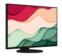 EIZO FlexScan EV2781 27 inch Monitor Black