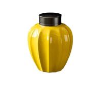 EJGMCNSGB Tea Can Bulk Tea Storage Jar Ceramic Home Kitchen Sealed Tea Jar Creative Double Lid Sealed Jar Chinese Tea Set Single Jar Storage Container(C)