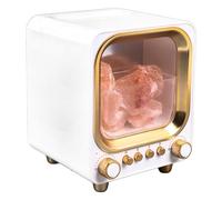 Ejoyous 160 Ml Diffuser for Essential Oils, 4-in-1 Diffuser, Humidifier, Speaker, Aromatherapy Lamp, 6-8 Hours of Fog Time, Noiseless Operation (White)