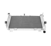 Ejoyous Cooling Water Tank Assembly, Aluminum Fast Cooling Motorcycle Radiator for 400 2018 to 2021, Reduce Engine Wear, Enhance Performance