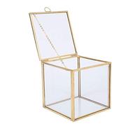 Ejoyous Glass Planter, Geometric Box Shape with Versatile Planting Options, Elegant Decoration Suitable for Home Spaces, Gardens, Offices and More