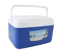 Ejoyous Insulated Portable Cooler, 8L Camping Box | ICE Cooler, Plastic Shell, Warm and Cold Storage, Camping, Picnic Use, Car Compatibility, Easy Clean Interior, Hard Plastic