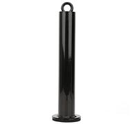 Ejoyous Loading Pin Stainless Steel Weight Plate Holder Grip Training Tool 20mm or 48mm X 220mm 320mm Support Frame for Forearm Work Home Gym Strength Practice (48 diameter*320mm)
