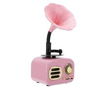 Ejoyous Portable Bluetooth Speaker, Vintage Retro Loudspeaker Box with Bluetooth 5.2, 5W Output, Card Playback, Plastic Metal Mini Speaker for Travel Home Office Use (Pink)