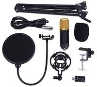 Ejoyous Professional Studio Condenser Microphone Set, USB Streaming PC Microphone with Arm Stand, Pop Filter, Foam Cap Kit for Studio Recording Broadcast YouTube New BM800 Version