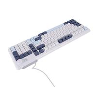 Ejoyous Wired Keyboard RGB Backlit Gaming Keyboard, ABS USB Computer with Custom Knob Function, Curved Keycaps and Plug and Play Design for Gaming Work Office