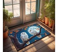 EJXN Farm Rug Two Snowy Owls Perched On A Branch Under A Full Moon Doormat Knock Before Entering Door Sign Small Outdoor Rug(65X90CM)