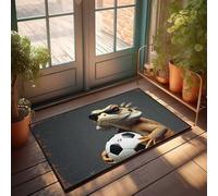 EJXN Funny House Decor Chill Lizard With Shades And Soccer Ball Doormat Farm Rug Door Mat Indoor Entrance(50X80CM)