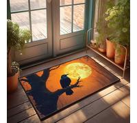 EJXN Funny Room Decor A Raven Perched On A Branch Against A Full Moonlit Sky Doormat Outdoor Mats For Front Door Stuff For Your Room(40X60CM)