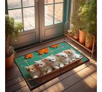 EJXN Outdoor Fall Door Mat Five Cute Kittens In A Clay Pot With Orange Flowers Doormat Man Cave Stuff Bar Decor For Home(50X80CM)