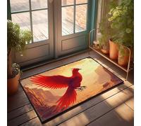 EJXN Outdoor Fall Rug Phoenix Rising: A Fiery Desert Ascension Doormat Small Welcome Mat The Room Decorations(40X60CM)