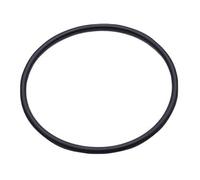 EK-D5 Pump O-Ring