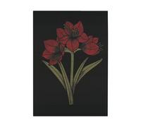 Ekelund Linneväveri Kapamaryllis kitchen towel 48x70 cm Black-red