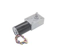 EKFBQBGW 5840-3650 BLDC Brushless Worm Geared Reduction electronic starter 24V DC High Power 60KG Large Torque Silent for Curtain Machine(24V 260RPM)