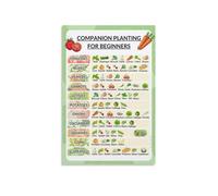 EKFBQBGW Companion Planting Guide for Gardeners - Vegetable & Herb Pairing Chart Poster, Essential Reference for Beginner and Expert Home Growers Unframed,16x24inch(40x60cm)
