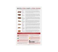 EKFBQBGW Digestive Health Education Poster Bristol Stool Chart Types One Through Seven Visual Reference Office Wall-Art For Home Bathroom Framed,16x24inch(40x60cm)