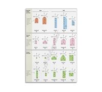 EKFBQBGW DNA Codon Chart Educational Canvas Wall-Art Genetic Code Science Poster for Biology Classroom Study Room Decor Unframed,12x18inch(30x45cm)