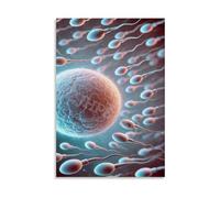 EKFBQBGW Educational Biology Wall-Art, The Moment of Fertilization, Sperm Penetrating Egg Canvas for School & Home Framed,16x24inch(40x60cm)