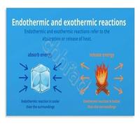 EKFBQBGW Endothermic Exothermic Reactions Transfer Poster Chemistry Educational Wall Chart for Students Unframed,08x12inch(20x30cm)