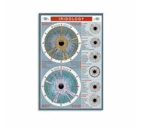 EKFBQBGW Iridology Reference Poster - Detailed Eye Chart & Iris Analysis Guide, Canvas Print for Study or Consultation Room Unframed,12x18inch(30x45cm)